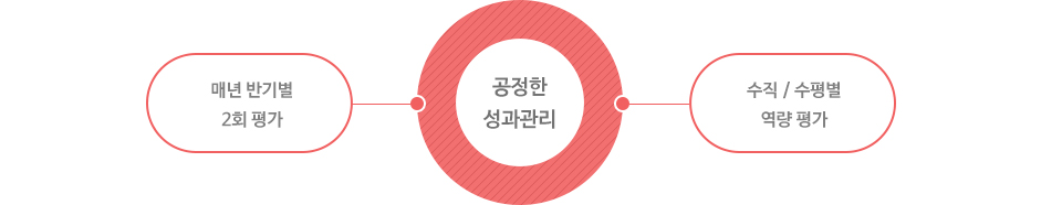 성과관리제도 도표